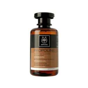 Apivita Champú Anticaspa Pelo Graso 250 Ml