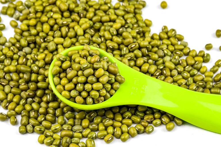 Beneficios de las proteínas vegetales